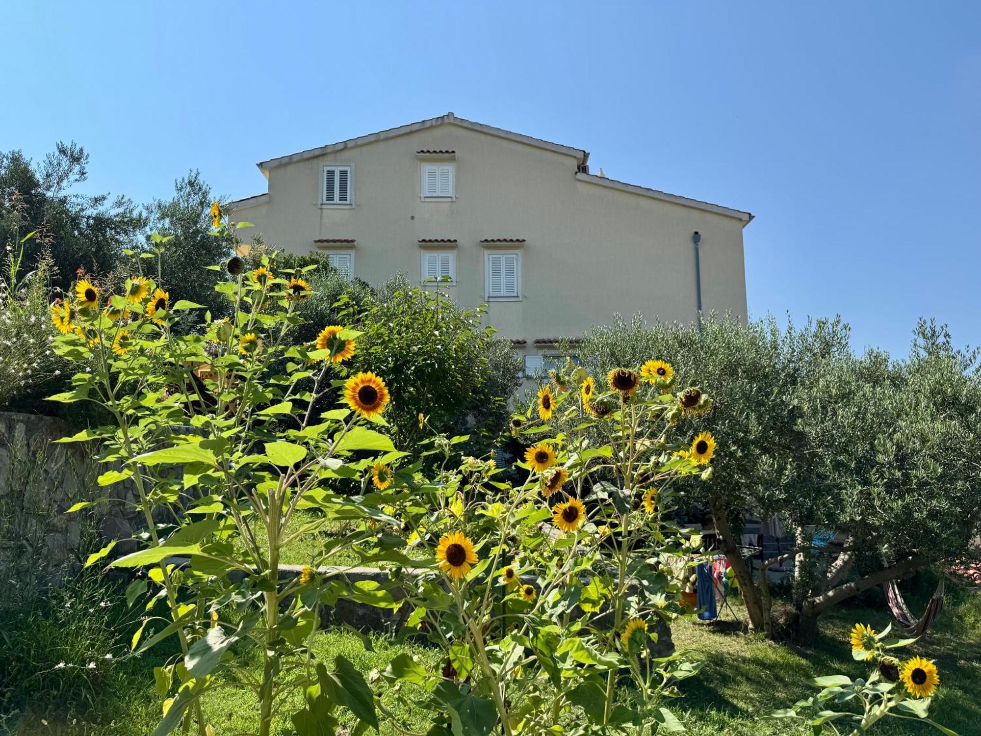 Apartments Maricic Banjol Exterior photo